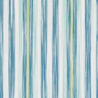 White Blue Color Stripe Printed Fabric Material